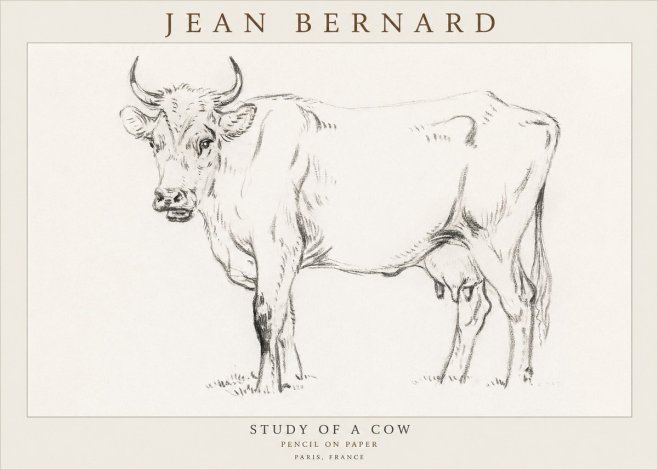 Jean Bernard Study of a Cow VI No3 - Poster