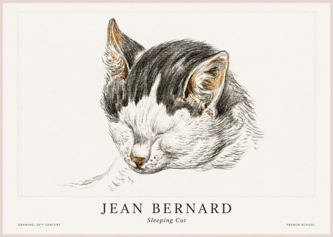 Jean Bernard Sleeping Cat V No1 - Poster