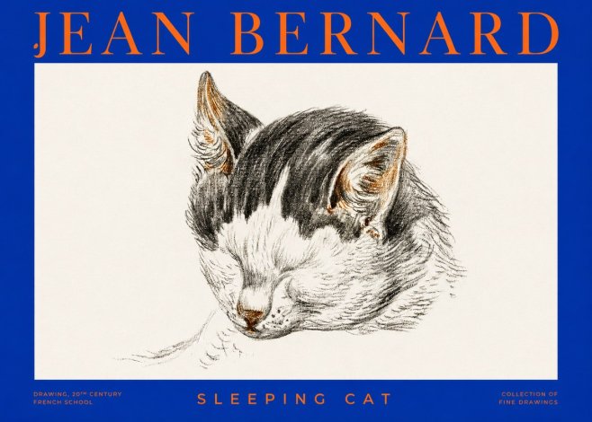 Jean Bernard Sleeping Cat V No2 - Poster