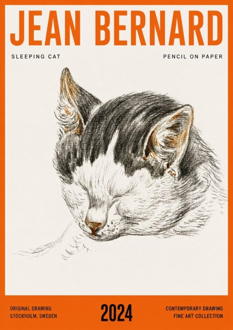 Jean Bernard Sleeping Cat V No4 - Poster