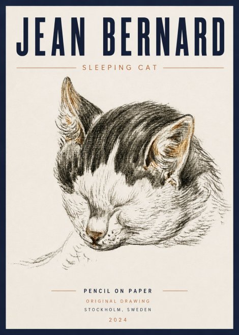 Jean Bernard Sleeping Cat V No5 - Poster