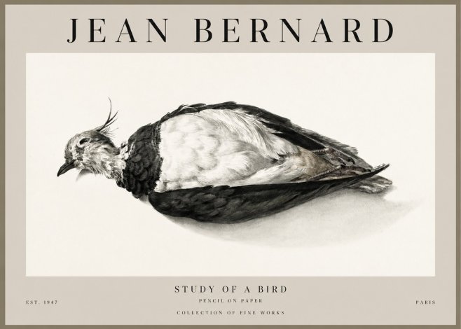 Jean Bernard Study of a Bird II No1 - Poster