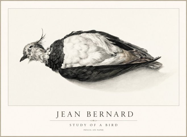 Jean Bernard Study of a Bird II No2 - Poster