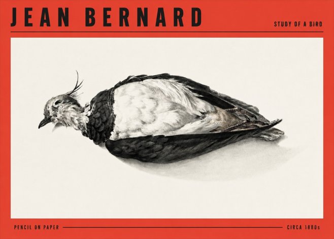 Jean Bernard Study of a Bird II No3 - Poster