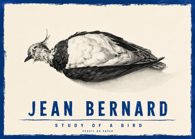 Jean Bernard Study of a Bird II No4 - Poster