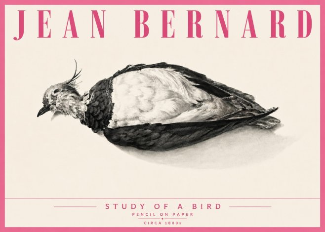 Jean Bernard Study of a Bird II No6 - Poster