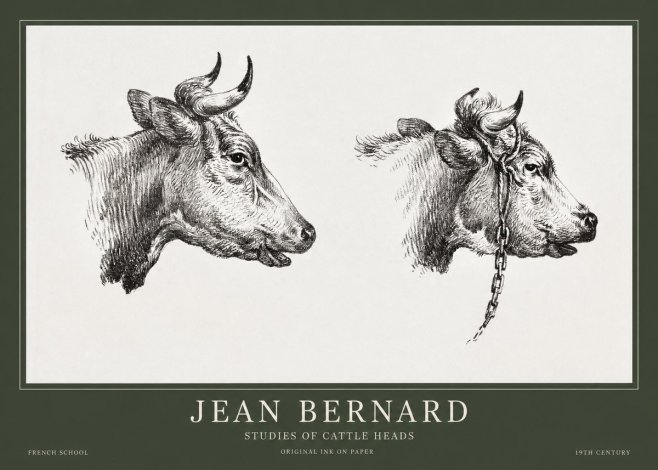 Jean Bernard Studies of Cattle Heads No1 - Poster