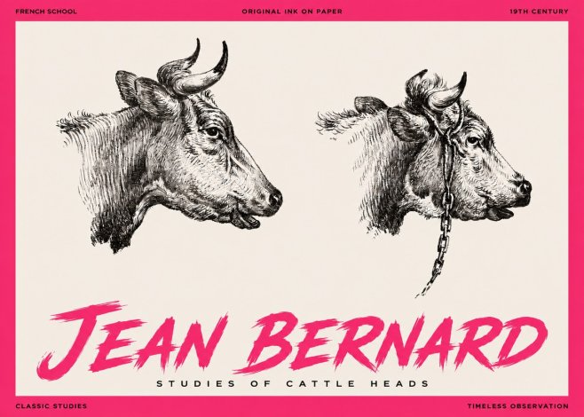 Jean Bernard Studies of Cattle Heads No3 - Poster