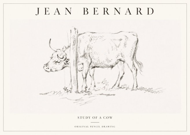 Jean Bernard Study of a Cow VII No1 - Poster