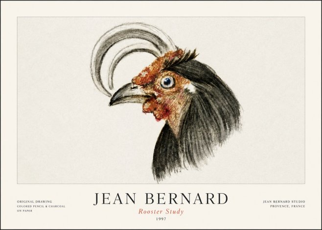 Jean Bernard Rooster Study No1 - Poster