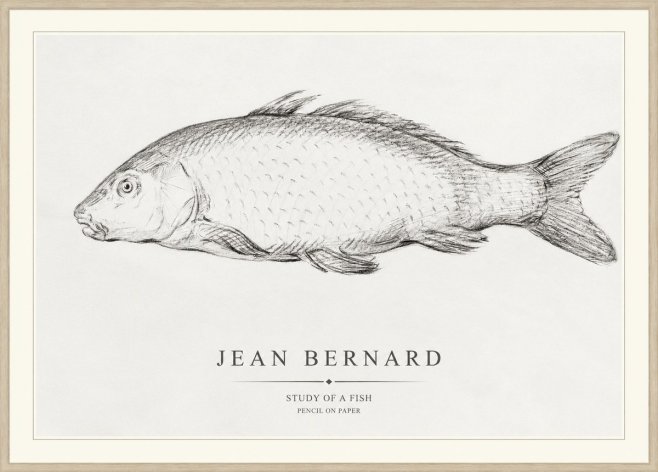 Jean Bernard Study of a Fish III No1 - Poster