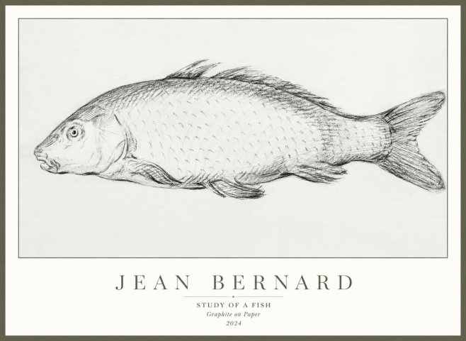 Jean Bernard Study of a Fish III No3 - Poster