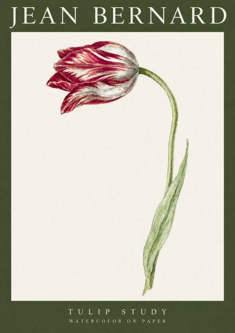 Jean Bernard Tulip Study No3 - Poster