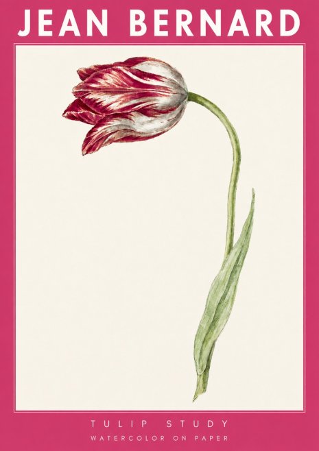Jean Bernard Tulip Study No4 - Poster