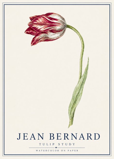 Jean Bernard Tulip Study No5 - Poster