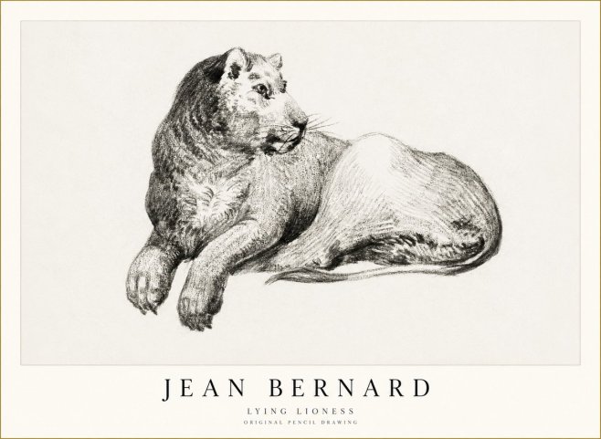 Jean Bernard Lying Lioness No1 - Poster