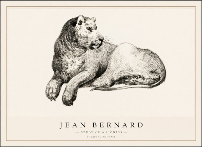 Jean Bernard Lying Lioness No2 - Poster