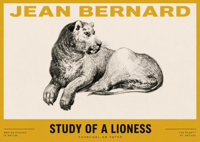 Jean Bernard Lying Lioness No4 - Poster