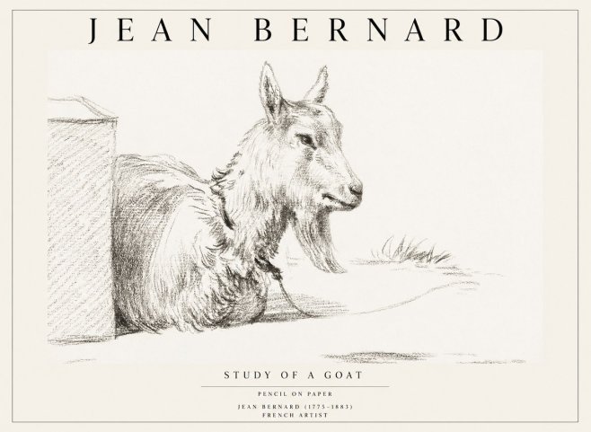 Jean Bernard Study of a Goat IV No1 - Poster