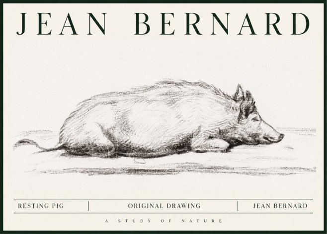 Jean Bernard Resting Pig I No1 - Poster