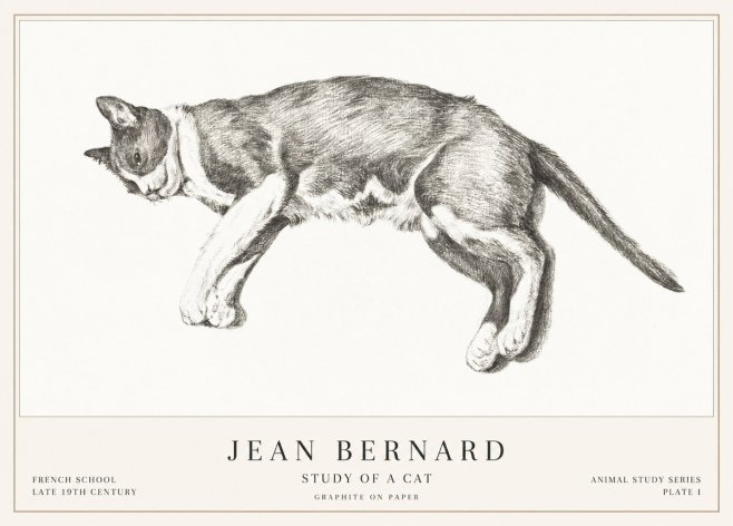 Jean Bernard Cat Study VII No3 - Poster