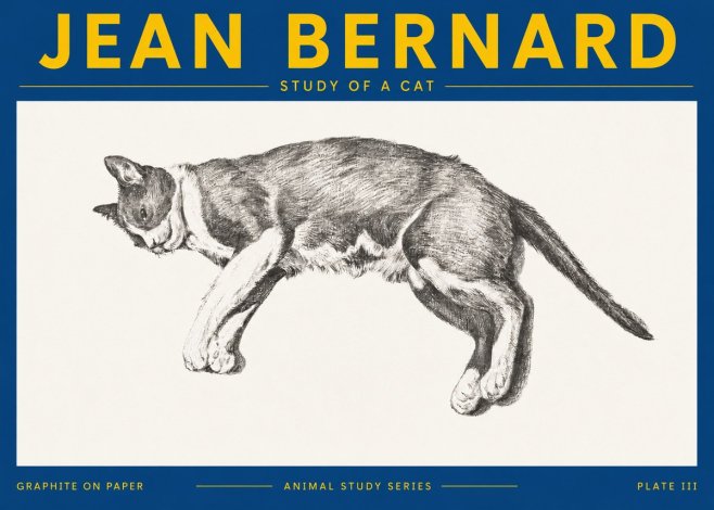 Jean Bernard Cat Study VII No5 - Poster