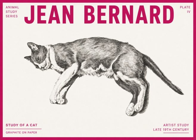 Jean Bernard Cat Study VII No6 - Poster