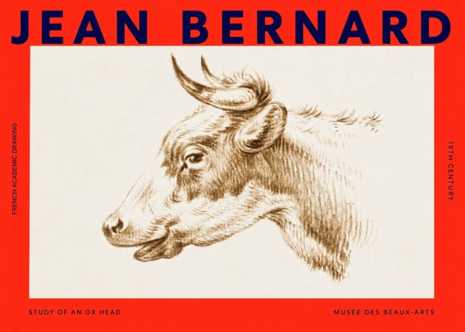 Jean Bernard Bovine Study II No4 - Poster