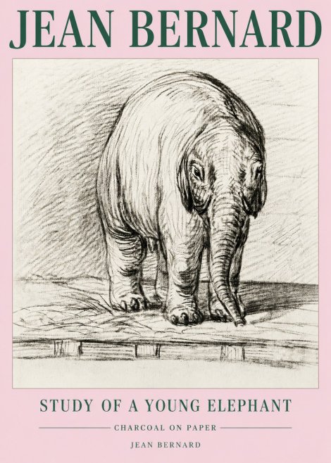 Jean Bernard Young Elephant No5 - Poster