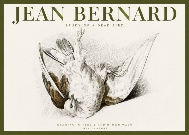 Jean Bernard Study of a Dead Bird No2 - Poster