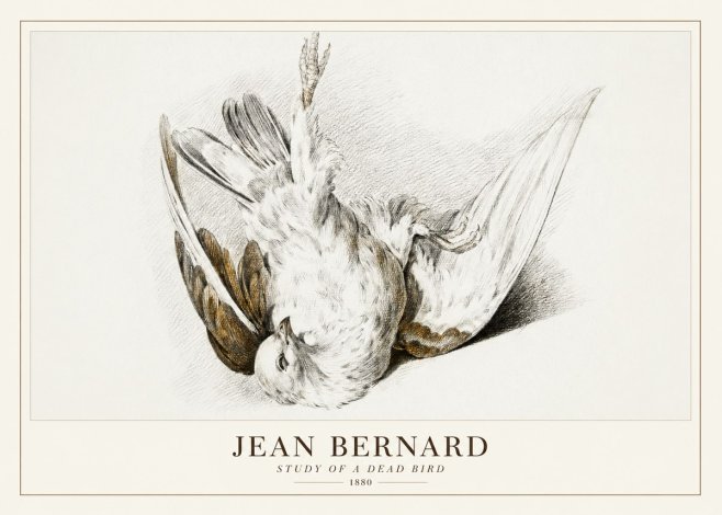 Jean Bernard Study of a Dead Bird No3 - Poster