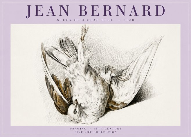 Jean Bernard Study of a Dead Bird No5 - Poster