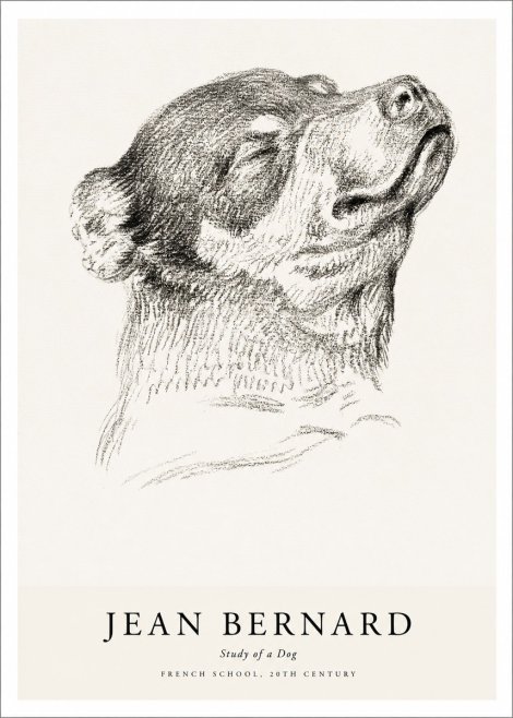 Jean Bernard Study of a Dog III No1 - Poster