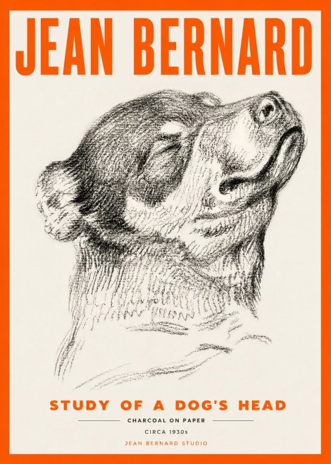 Jean Bernard Study of a Dog III No5 - Poster