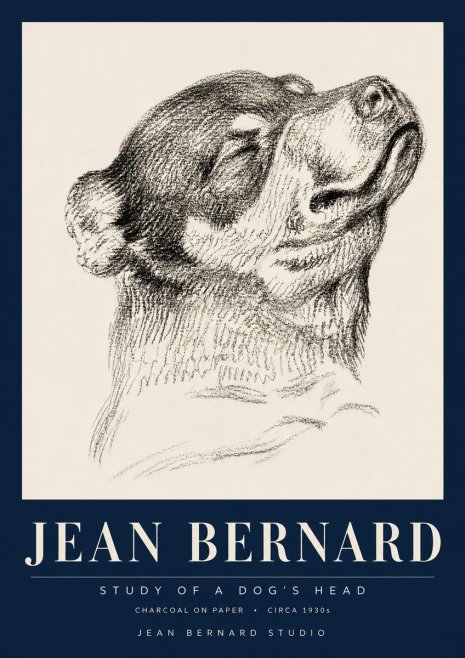 Jean Bernard Study of a Dog III No6 - Poster