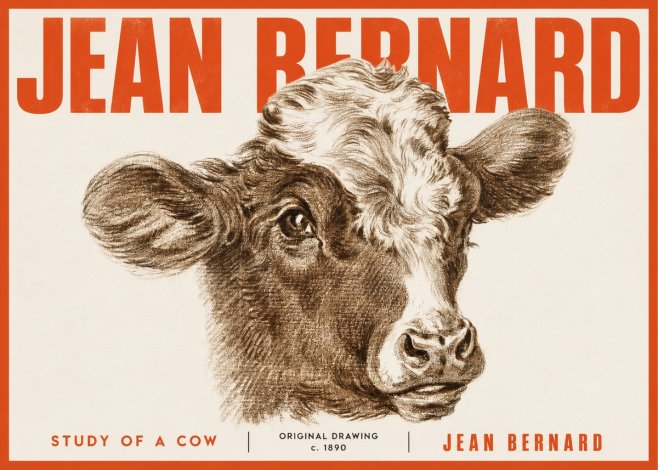 Jean Bernard Study of a Cow VIII No4 - Poster