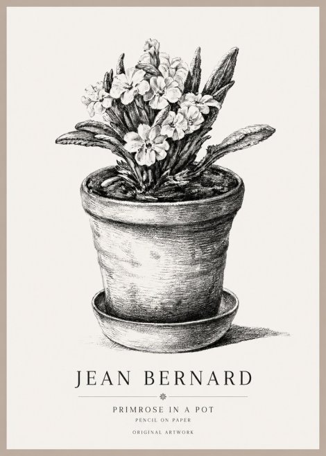 Jean Bernard Potted Primrose No2 - Poster
