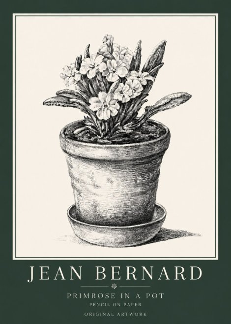 Jean Bernard Potted Primrose No4 - Poster