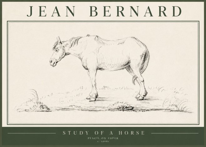 Jean Bernard Study of a Horse IX No5 - Poster