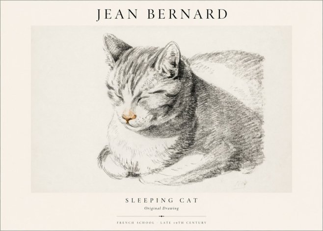 Jean Bernard Sleeping Cat VI No1 - Poster
