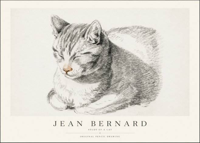 Jean Bernard Sleeping Cat VI No2 - Poster