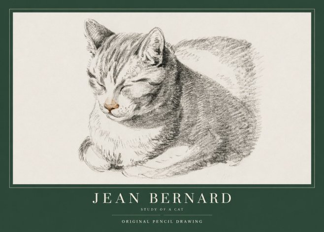 Jean Bernard Sleeping Cat VI No4 - Poster