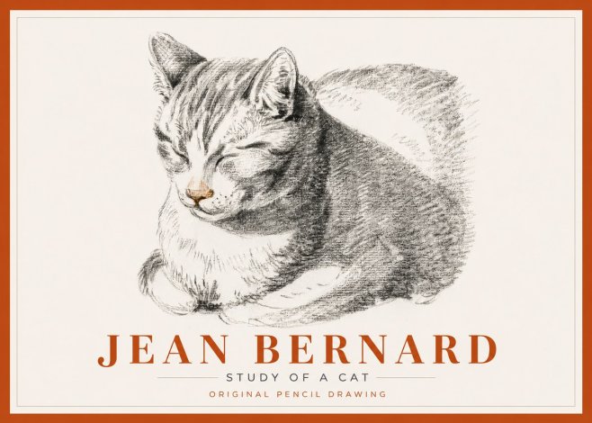Jean Bernard Sleeping Cat VI No6 - Poster