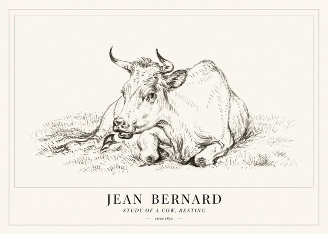Jean Bernard Study of a Cow, Resting No1 - Poster