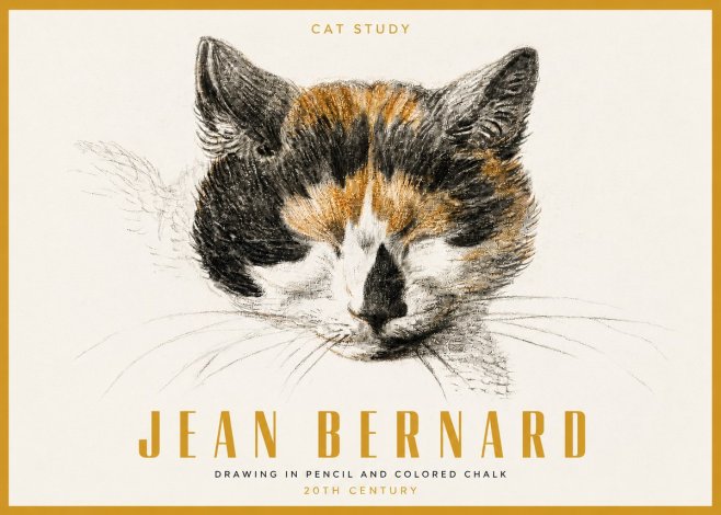 Jean Bernard Cat Study VIII No3 - Poster