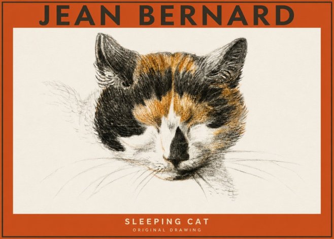 Jean Bernard Cat Study VIII No5 - Poster