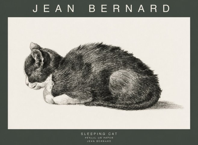 Jean Bernard Sleeping Cat VII No1 - Poster