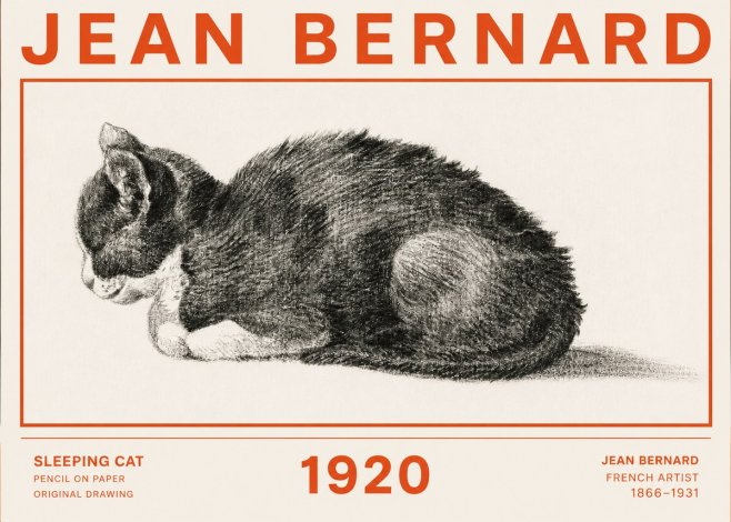 Jean Bernard Sleeping Cat VII No2 - Poster