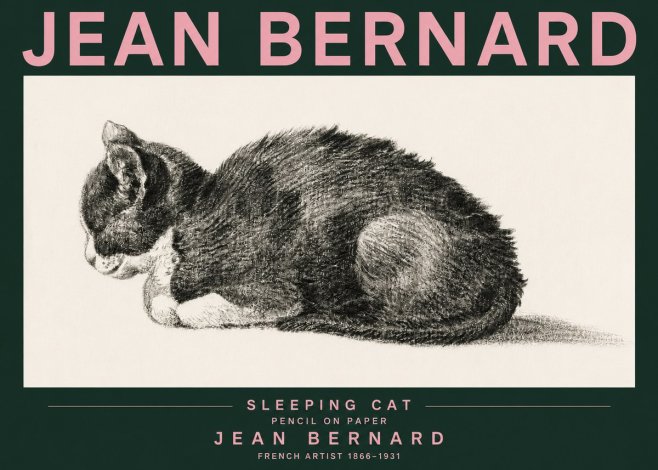 Jean Bernard Sleeping Cat VII No3 - Poster