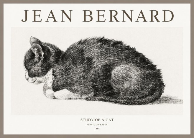 Jean Bernard Sleeping Cat VII No6 - Poster